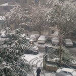 Road and parked cars covered by snow