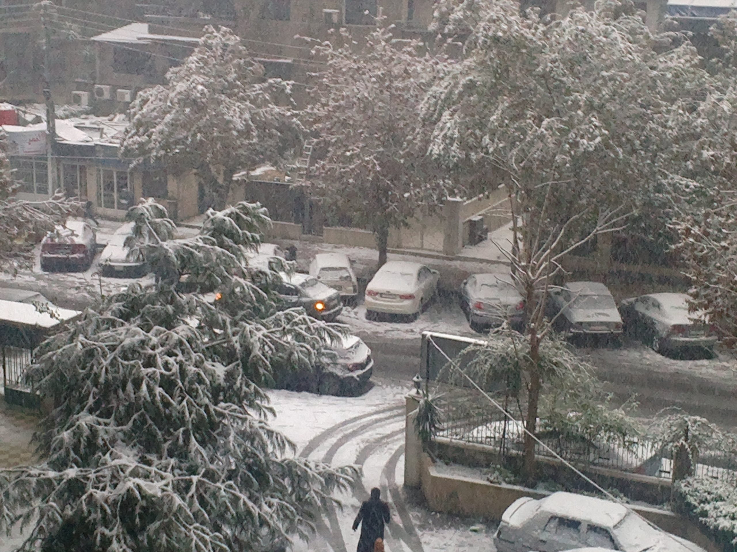 Road and parked cars covered by snow