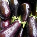 Aubergines