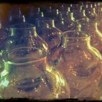 Glass preserve bottles