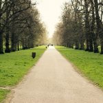 Path lined by trees in Hyde Park