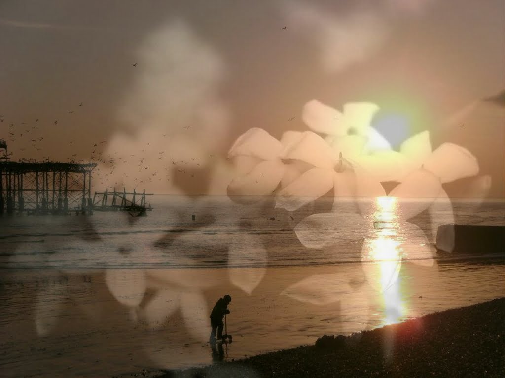 Composite image: Beach at sunset with overlaid flowers