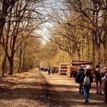 Hikers walk down a path in a wood