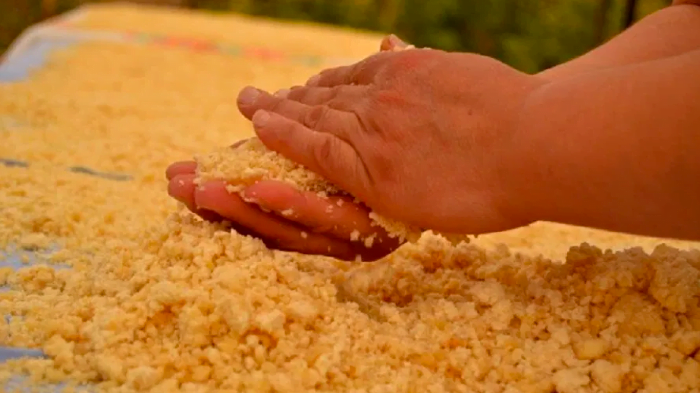 To get to the final “kishk” product, the dough is spread onto clean white sheets, on village rooftops, for the heat of the summer to dry it rock hard. Once totally dry, tradition calls for women to come together for a wonderful communal work: rubbing off dried “kishk” with the hands to obtain a fine, off-white powder, winter’s most nutritious preserve.
